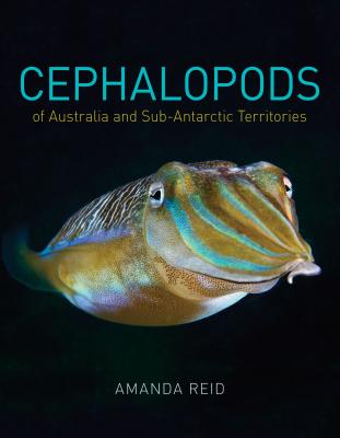 Cephalopods of Australia and Sub-Antarctic Territories - Reid, Amanda