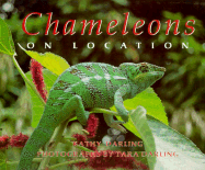 Chameleons: On Location