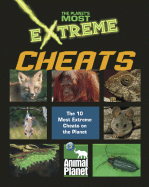 Cheats