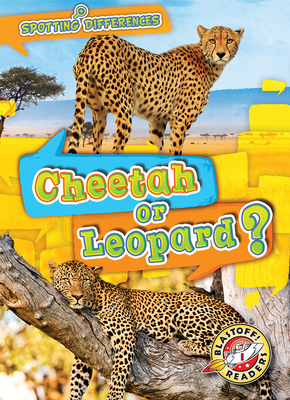 Cheetah or Leopard? - Chang, Kirsten