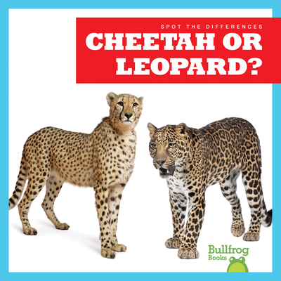 Cheetah or Leopard? - Rice, Jamie