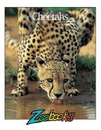 Cheetahs - Wood, Linda C