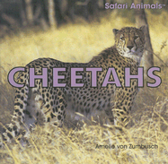 Cheetahs - Von Zumbusch, Amelie