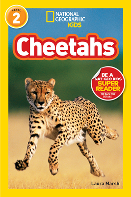 Cheetahs - Marsh, Laura