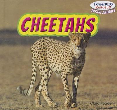 Cheetahs - Reade, Clara
