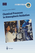 Chemical Processes in Atmospheric Oxidation: Laboratory Studies of Chemistry Related to Troposheric Ozone