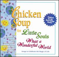 Chicken Soup for Little Souls: What a Wonderful World - Various Artists