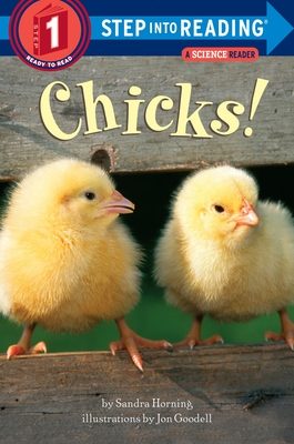 Chicks! - Horning, Sandra