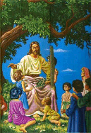 Children's Rainbow Bible-KJV