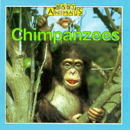 Chimpanzees