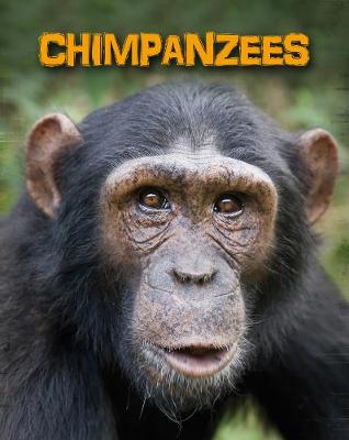 Chimpanzees - Moore, Heidi