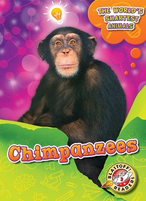Chimpanzees - Mattern, Joanne