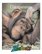 Chimpanzees - Elwood, Ann