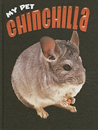 Chinchilla