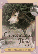 Chincoteague Pony Identification Cards, Set 2