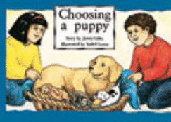 Choosing a puppy