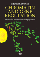 Chromatin and Gene Regulation: Molecular Mechanisms in Epigenetics