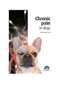 Chronic Pain in Dogs