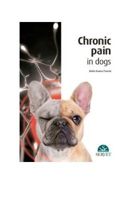 Chronic Pain in Dogs - Puente, Beln Ruano