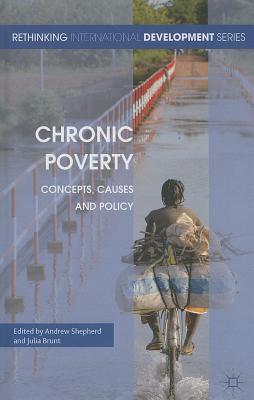 Chronic Poverty: Concepts, Causes and Policy - Shepherd, A (Editor), and Brunt, J (Editor)