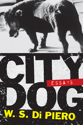 City Dog: Essays - Di Piero, W S