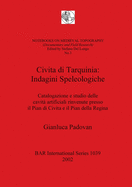 Civita di Tarquinia: Catalogazione e studio delle cavita artificiali rinvenute presso il Pian di Civita e il Pian della Regina