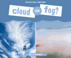 Cloud or Fog?