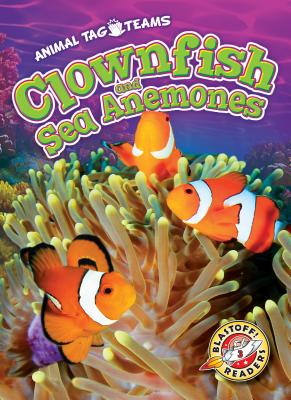Clownfish and Sea Anemones - Schuetz, Kari