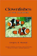 Clownfishes in the Aquarium - Skomal, Gregory