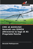 CMC di Al2O3/SiC lavorati con DIMOX attraverso la lega di Al: Propriet fisiche