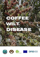 Coffee Wilt Disease