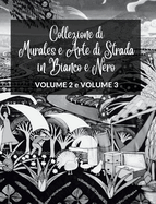 Collezione di Murales e Arte di Strada in Bianco e Nero - Volumi 2 e 3: Due libri fotografici sull'Arte e la Cultura Urbana