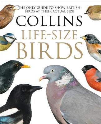 Collins Life-Size Birds: The Only Guide to Show British Birds at Their Actual Size - Sterry, Paul, and Read, Rob