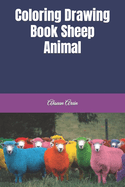 Coloring Drawing Book Sheep Animal