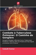 Combate ? Tuberculose Pulmonar: O Caminho do Gengibre