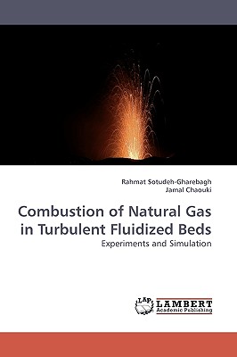 Combustion of Natural Gas in Turbulent Fluidized Beds - Sotudeh-Gharebagh, Rahmat