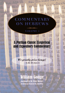 Commentary on Hebrews: Exegetical & Expository - Vol. 1 (PB)