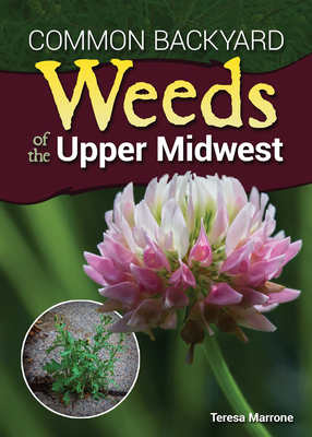 Common Backyard Weeds of the Upper Midwest - Marrone, Teresa