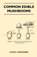 Common edible mushrooms