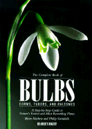 Comp Bk of Bulbs