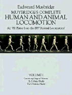 Complete Human and Animal Locomotion