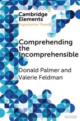 Comprehending the Incomprehensible: Organization Theory and Child Sexual Abuse in Organizations - Palmer, Donald, and Feldman, Valerie