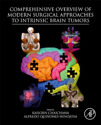 Comprehensive Overview of Modern Surgical Approaches to Intrinsic Brain Tumors - Chaichana, Kaisorn, MD (Editor), and Quinones-Hinojosa, Alfredo (Editor)