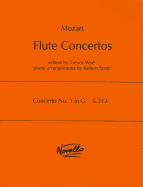 Concerto No.1 in G K.313
