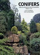Conifers: The Illustrated Encyclopedia - Van Gelderen, D M, and Smith, J R (Photographer), and Smith, J R P Van Hoey