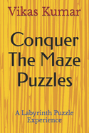 Conquer The Maze Puzzles: A Labyrinth Puzzle Experience