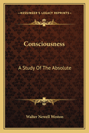 Consciousness: A Study Of The Absolute