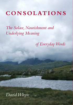 Consolations: The Solace, Nourishment and Underlying Meaning of Everyday Words - Whyte, David