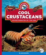 Cool Crustaceans: Invertebrates of the Sea