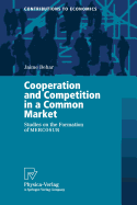 Cooperation and Competition in a Common Market: Studies on the Formation of Mercosur